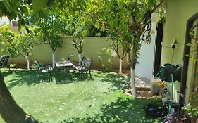 B&B Amit 18 minutes from the airport - אירוח כפרי עמית 18 דקות משדה תעופה
